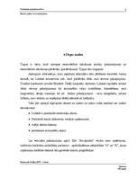 Biznesa plāns 'Biznesa plāns ar nosacījumiem', 8.