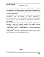 Biznesa plāns 'Biznesa plāns ar nosacījumiem', 12.