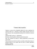 Biznesa plāns 'Biznesa plāns ar nosacījumiem', 15.