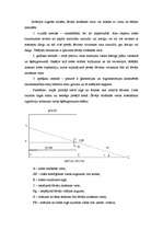 Referāts 'Praktiskais darbs Kriminalistikā', 12.