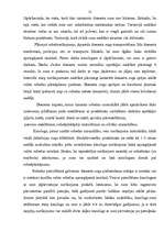 Referāts 'Robežsargu norīkojumi', 13.