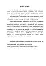 Referāts 'Grāmatvedības darba organizācija SIA ''Loks un Ko''', 4.