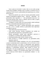 Referāts 'Grāmatvedības darba organizācija SIA ''Loks un Ko''', 5.