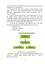 Referāts 'Grāmatvedības darba organizācija SIA ''Loks un Ko''', 7.