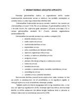 Referāts 'Grāmatvedības darba organizācija SIA ''Loks un Ko''', 19.