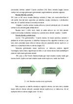 Referāts 'Grāmatvedības darba organizācija SIA ''Loks un Ko''', 32.