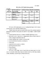 Referāts 'Grāmatvedības darba organizācija SIA ''Loks un Ko''', 33.