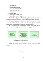 Referāts 'Grāmatvedības darba organizācija SIA ''Loks un Ko''', 36.