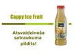 Prezentācija 'Cappy Ice Fruit piedāvātie produkti', 1.