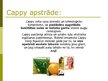 Prezentācija 'Cappy Ice Fruit piedāvātie produkti', 8.