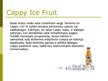 Prezentācija 'Cappy Ice Fruit piedāvātie produkti', 9.