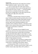 Referāts 'Austrumu cīņas', 3.