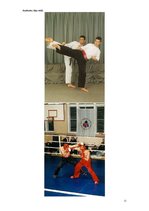 Referāts 'Austrumu cīņas', 10.