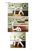 Referāts 'Austrumu cīņas', 11.