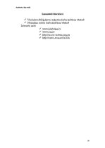 Referāts 'Austrumu cīņas', 13.