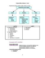 Konspekts 'Grāmatvedība un finanses', 5.