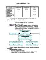 Konspekts 'Grāmatvedība un finanses', 11.