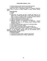 Konspekts 'Grāmatvedība un finanses', 13.