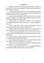 Prakses atskaite 'Atskaite par viesnīcu', 21.