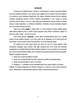 Referāts 'Eksporta plāns', 3.