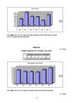 Referāts 'Eksporta plāns', 12.