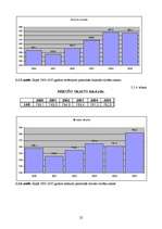 Referāts 'Eksporta plāns', 22.