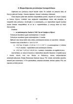 Referāts 'Eksporta plāns', 28.