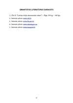 Referāts 'Eksporta plāns', 31.