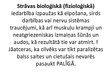 Prezentācija 'Elektrotīklu bojājumi', 12.