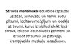 Prezentācija 'Elektrotīklu bojājumi', 13.