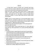 Diplomdarbs 'Grāmatvedības iekšējās kontroles un audita problēmas un to risinājumi pašvaldība', 5.