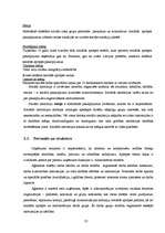 Diplomdarbs 'Grāmatvedības iekšējās kontroles un audita problēmas un to risinājumi pašvaldība', 23.