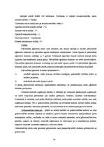 Diplomdarbs 'Grāmatvedības iekšējās kontroles un audita problēmas un to risinājumi pašvaldība', 24.