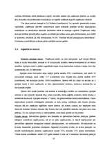 Diplomdarbs 'Grāmatvedības iekšējās kontroles un audita problēmas un to risinājumi pašvaldība', 26.