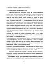 Diplomdarbs 'Grāmatvedības iekšējās kontroles un audita problēmas un to risinājumi pašvaldība', 41.