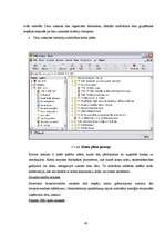 Diplomdarbs 'Grāmatvedības iekšējās kontroles un audita problēmas un to risinājumi pašvaldība', 42.