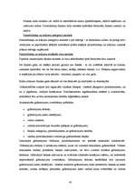 Diplomdarbs 'Grāmatvedības iekšējās kontroles un audita problēmas un to risinājumi pašvaldība', 43.
