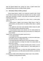 Diplomdarbs 'Grāmatvedības iekšējās kontroles un audita problēmas un to risinājumi pašvaldība', 48.