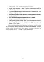 Diplomdarbs 'Grāmatvedības iekšējās kontroles un audita problēmas un to risinājumi pašvaldība', 64.