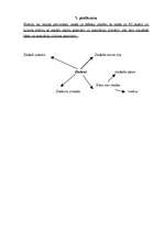 Konspekts 'Jaunsudrabiņa dzeja, tajā sastopamās sajūtu gleznas. Stundas plāns latviešu lite', 2.