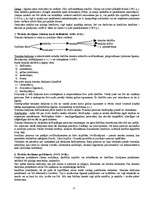 Konspekts 'Saistību tiesības', 3.