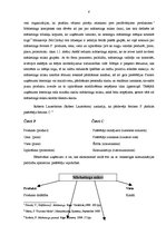 Referāts 'Reklāmas vieta mārketinga kompleksā', 8.