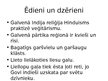 Prezentācija 'Indijas kultūras reģions', 11.