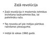Prezentācija 'Indijas kultūras reģions', 17.