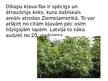 Prezentācija 'Invazīvās sugas Latvijā', 3.
