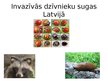 Prezentācija 'Invazīvās sugas Latvijā', 11.