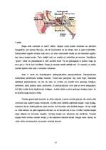 Referāts 'Skaņa', 13.