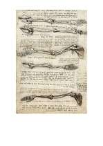 Referāts 'Leonardo da Vinči', 19.