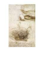 Referāts 'Leonardo da Vinči', 20.