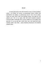 Referāts 'Elektronisko skaitļotāju attīstības vēsture', 2.